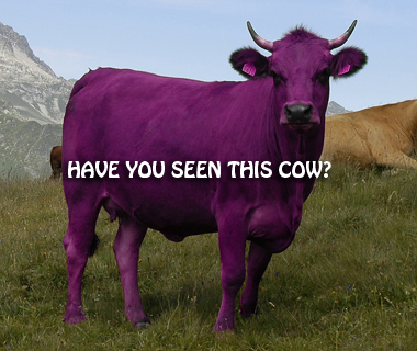 Have You Seen This Cow