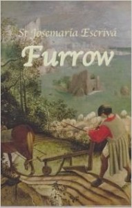 The Furrow